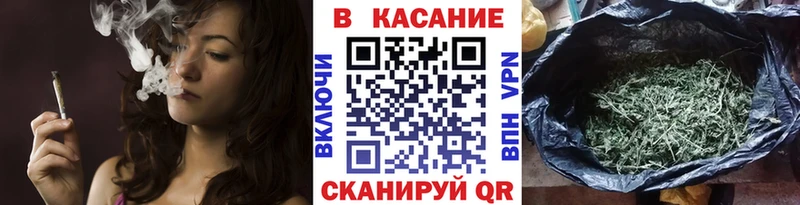Наркота Снежногорск Гашиш  Alpha PVP  Кокаин  Мефедрон  Конопля 