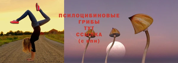 ГАЛЛЮЦИНОГЕННЫЕ ГРИБЫ Каменногорск
