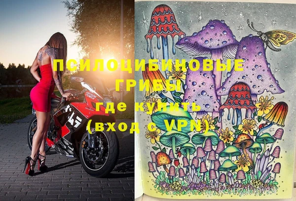 ГАЛЛЮЦИНОГЕННЫЕ ГРИБЫ Каменногорск