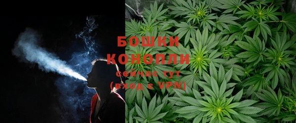 ГАЛЛЮЦИНОГЕННЫЕ ГРИБЫ Каменногорск