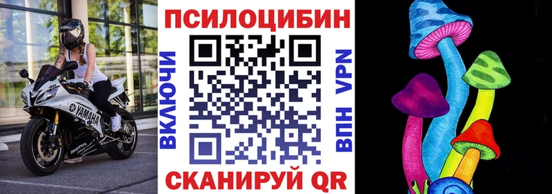 Галлюциногенные грибы Cubensis Снежногорск