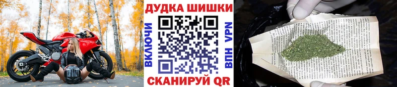 Бошки марихуана OG Kush  Снежногорск 